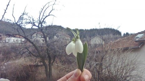 Седмицата: слънчева и топла до 12°