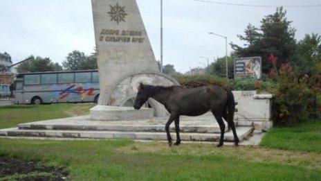 Синя зона се пръква и в курорта Слънчев бряг