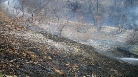 Мъж загина при пожар в пловдивско село