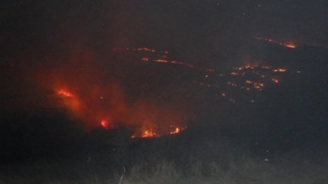 Пожарът в Бургас най-вероятно е умишлен