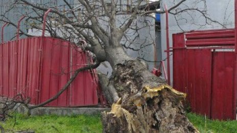 Код "Оранжево" в три области в страната