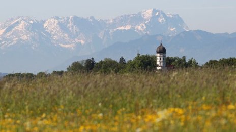 Откриха цвете на рекордна височина