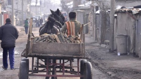 1200 роми от Столипиново на опашка за дърва