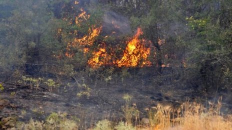 Две момчета пострадаха при пожар в Пловдив