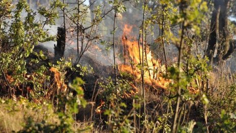 Пожарът край Вакарел тръгнал от горящи стърнища