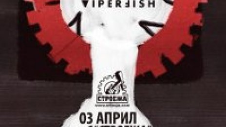 Viperfish забиват в неделя вечер 