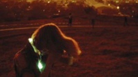 Neon Indian с безплатен микстейп