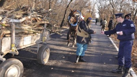 Роми секат незаконно дърва в хасковския парк "Кенана"