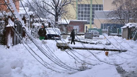 Екипи на EVN продължават работата си в Родопите