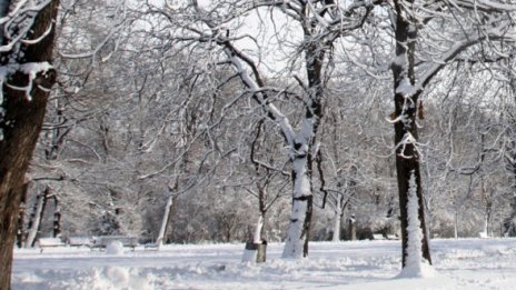 Намериха измръзнал мъж в нива край новозагорско село