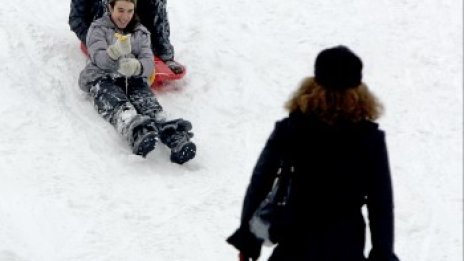 Дървена ваканция в цялата област Кърджали