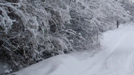 Труп на мъж е открит в снега край мездренско село