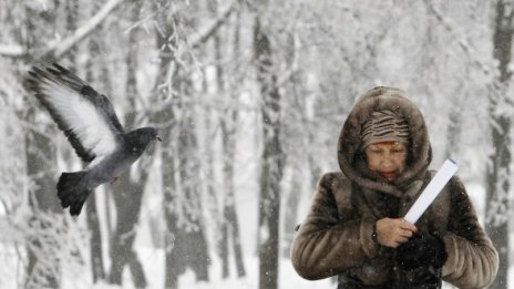 И в Москва сви студ - под минус 30 градуса