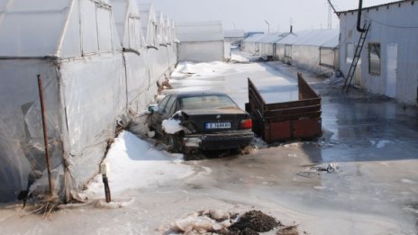  Обстановката в страната се нормализира 