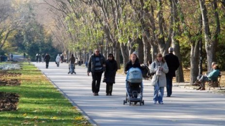 Работещите бедни - кризисен феномен на пазара на труда