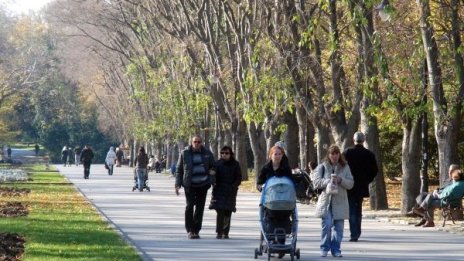 Заетостта у нас продължава да намалява