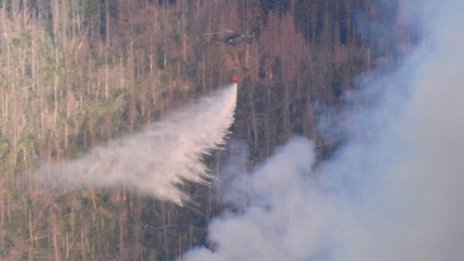 Огнената стихия на Витоша е овладяна 