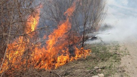 Два пожара горят до магистрала "Тракия" в района на Ихтиман*