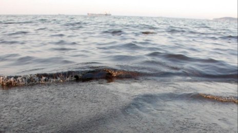 Получен е сигнал за замърсяване на Черно море