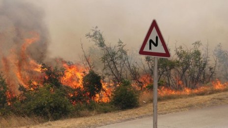 Пожар унищожи 30 декара широколистна гора край Тополовград