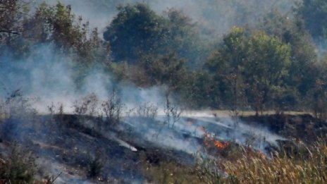 Локализиран е пожарът на Карандила