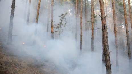 20 декара гора горят високо в Рила