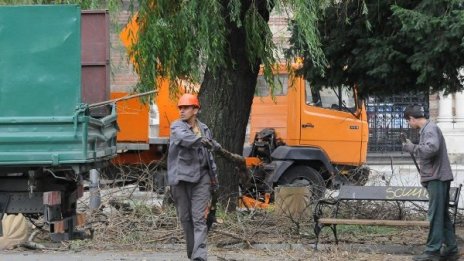 Двама души пострадаха от паднали клони в Шумен 