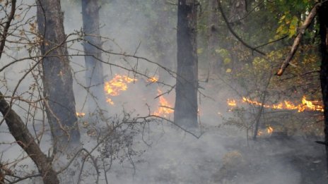 Продължава гасенето на пожара край Е-79