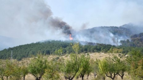 Локализираха пожара край сливенското село Чинтулово