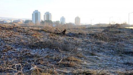 ГЕРБ беше сварен по бели гащи, радва се БСП