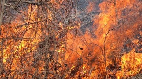 В Русе откриха тялото на самотно живеещ мъж, починал при пожар 