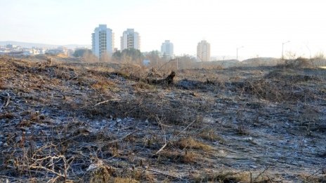 Прокуратурата образува две преписки по "Дюнигейт"