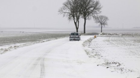 Нивата на холестерола се променят според сезона 