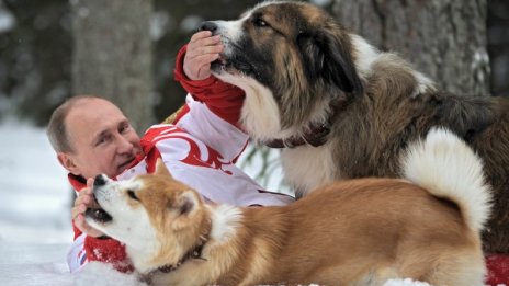 Денят в снимки