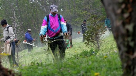 Пръскат срещу кърлежи и комари в София 