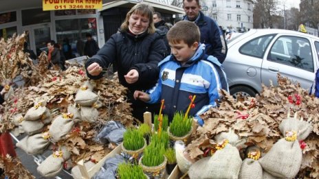 3/4 от сърбите искат децата им да напуснат страната