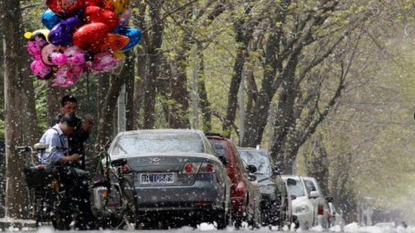 Създадена е Първа Европейска карта на алергените