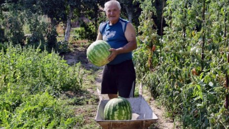 Дини гиганти радват бай Митко от Крали Марко