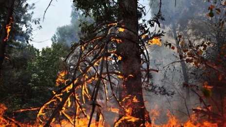 Нов пожар край Стара Загора, горят 200 декара до Змейово