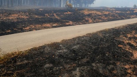 Пожарът край село Локорско е овладян 