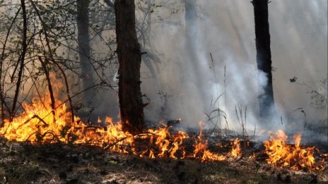 Пет пъти по-малко пожари от миналата година отчете МЗХ