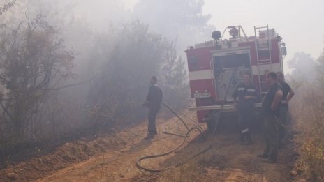 Локализираха пожара край кърджалийското село Еровете