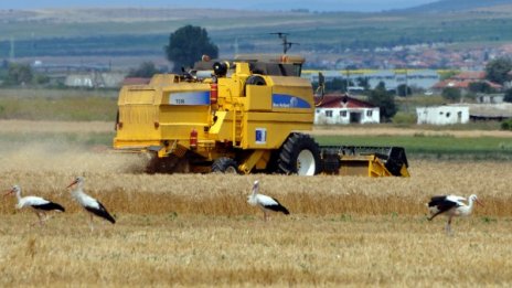 Зърнопроизводителите се обявиха против обратното начисляване на ДДС