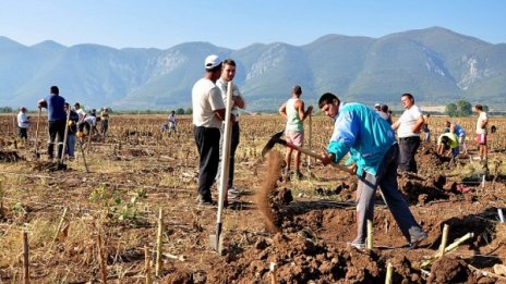 Производителността на труда намалява с близо 1% към юни 