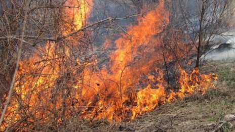 Потушен е пожарът край кв. "Ораново" в Симитли