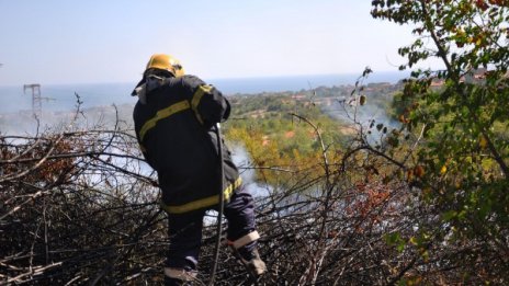 300 декара гора изгоряха край Каварна