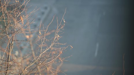 Облачно, с превалявания от дъжд и сняг