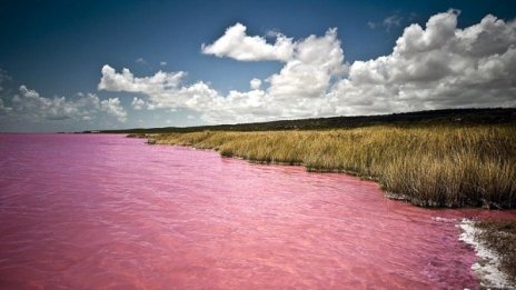 Езерото Ретба изглежда вкусно, но не става за пиене 