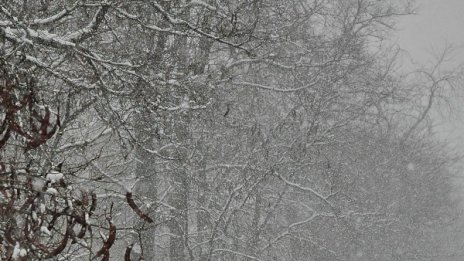 Сняг спря движението през прохода Троян-Кърнаре