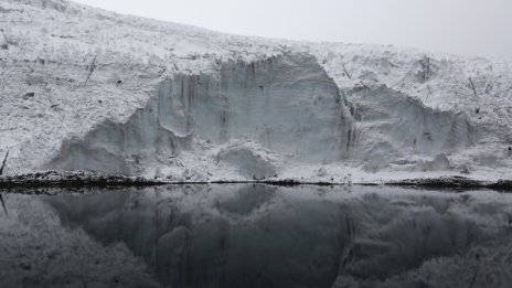 Саждите допринасят много за изтъняването на леда